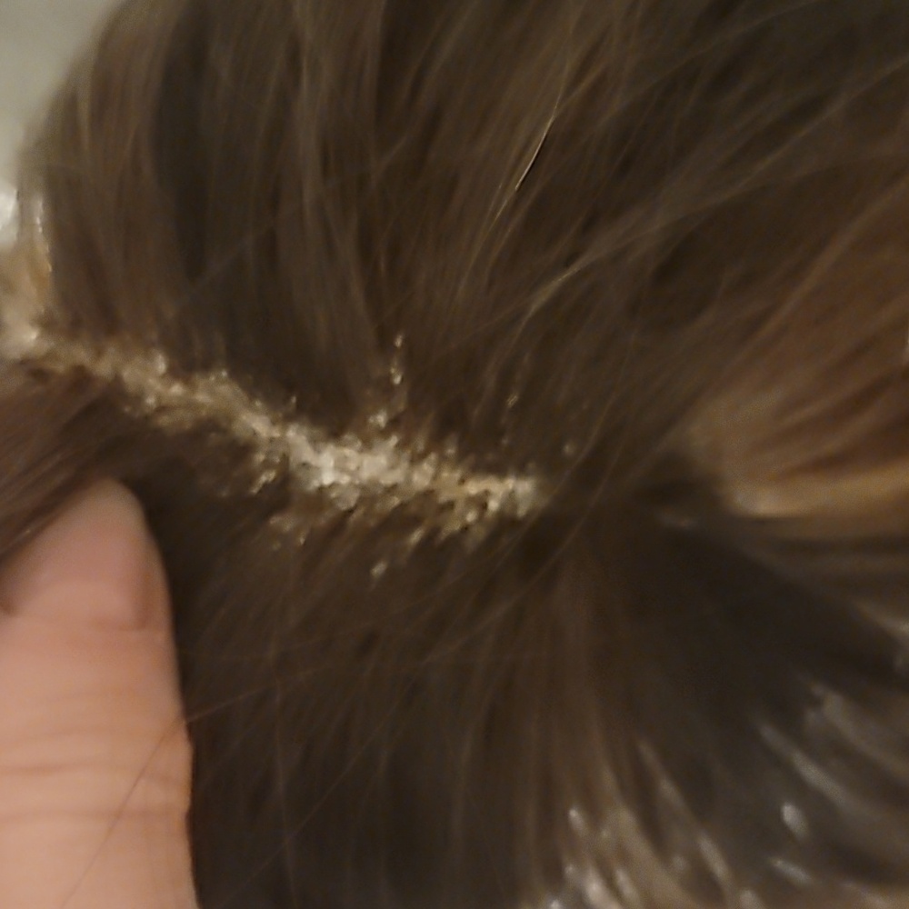 Hair Topper Top Of Head By Hairdo (Raquel Welch)  Like Easipart/Jon Renau - Picture 13 of 14